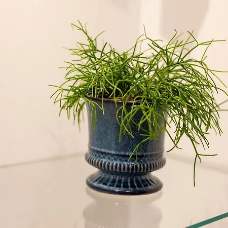 And Style Luxury B&B 스플리트