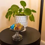 Bed & Breakfast And Style Luxury